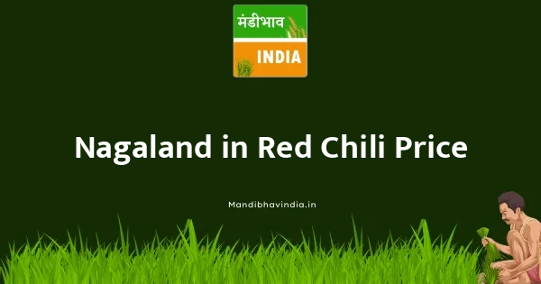 Red Chili भाव